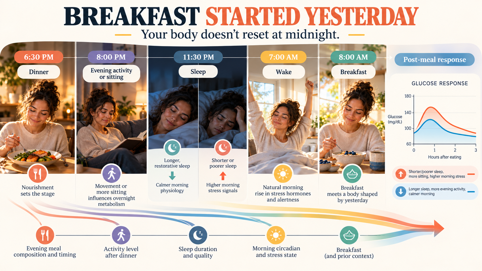 Figure 5 Timeline from dinner through evening activity, sleep, waking, breakfast, and the post-meal response, showing that prior context carries into the next morning.